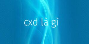 CXD trong bóng đá là gì?