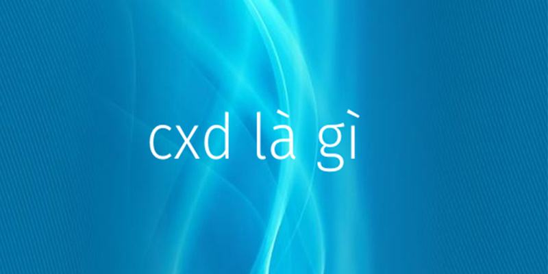 CXD trong bóng đá là gì?