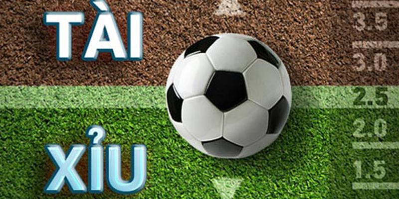 Cách cá độ bóng đá tài xỉu