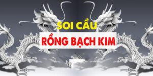 Hướng dẫn chi tiết cách soi cầu rồng bạch kim cho người chơi