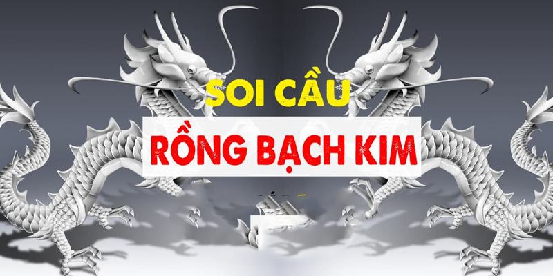 Hướng dẫn chi tiết cách soi cầu rồng bạch kim cho người chơi