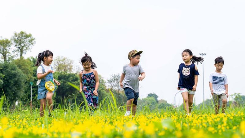 Nằm mơ thấy anh em gặp nhau đánh con số gì?