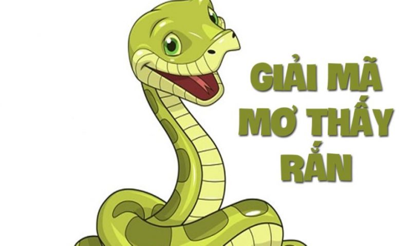 Đâu là điềm báo chung nhất cho giấc mơ về loài rắn