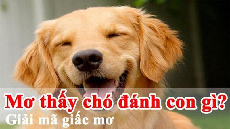 Mơ thấy chó đánh con gì thắng lớn chiều nay?