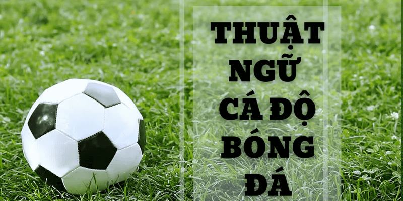 Thuật ngữ cá độ bóng đá là gì? Một số thuật ngữ thường gặp ở kèo châu u và châu Á