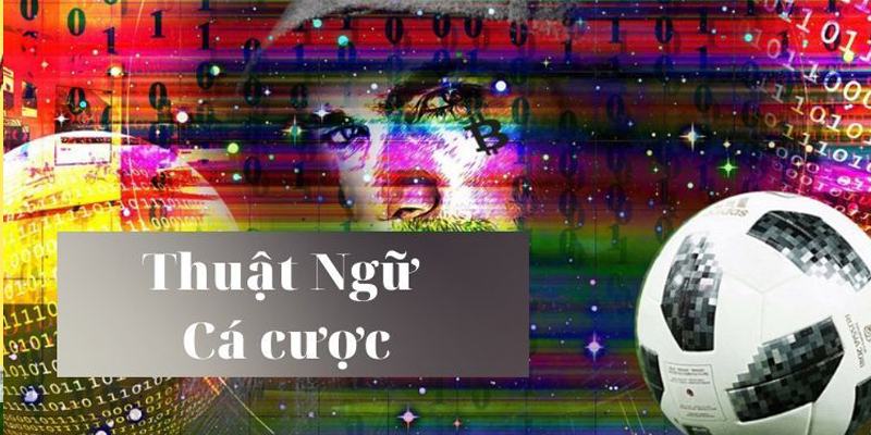 Thuật ngữ cá độ bóng đá là gì? Một số thuật ngữ thường gặp ở kèo châu u và châu Á