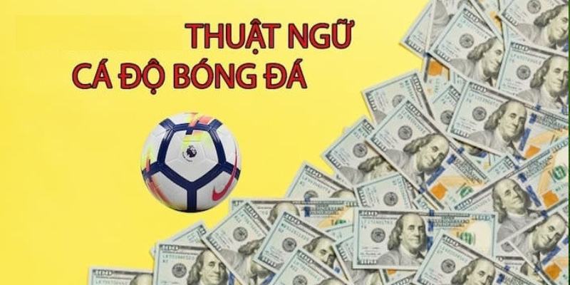 Thuật ngữ cá độ bóng đá là gì? Một số thuật ngữ thường gặp ở kèo châu âu và châu Á